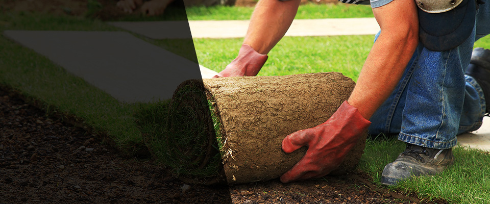 Pembroke Pines Landscapers